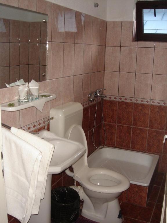 Vila Cristina Ceahlău Room photo